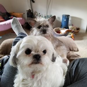 Meet your Posher, Shane